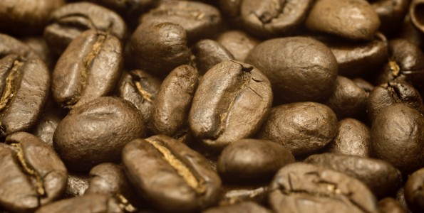 El origen del café