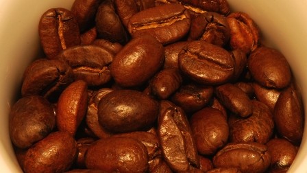 Subasta electrónica del mejor café panameño en grano