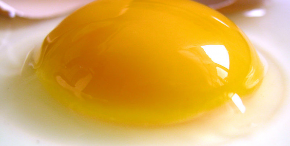 El huevo... en lonchas de Ovopacific