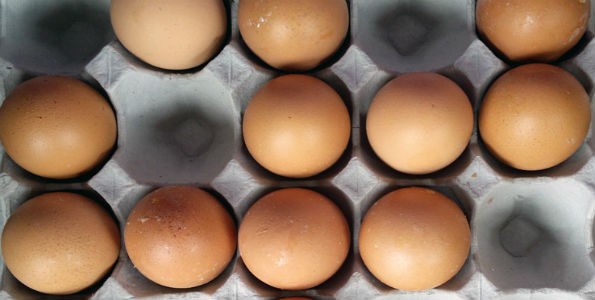 España exporta más huevos