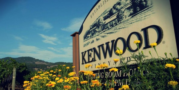 Pernod Ricard compra Kenwood Vineyards