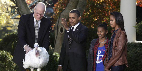 Obama indulta al pavo de Acción de Gracias