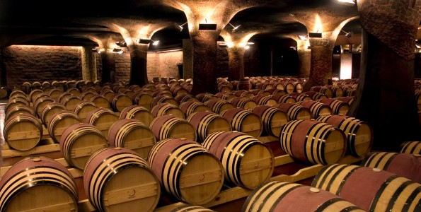 Los sumilleres internacionales más prestigiosos se acercan a los vinos del Priorat