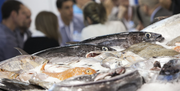 Seafood Barcelona cierra sus puertas pensando en 2014