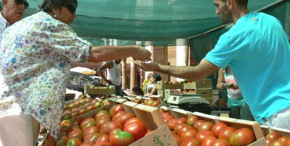 Feria del Tomate de Mansilla