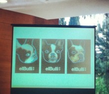 Las futuras tres marcas de elBullifoundation