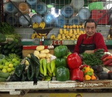 Guía mexicana de sus mercados populares