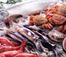 Premio a la promoción del pescado