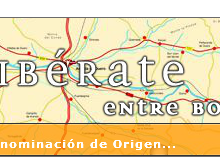 La Ribera del Duero renueva el certificado como Ruta del Vino de España