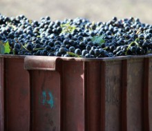 ¿Impuestos al vino?