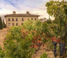 El enoturismo científico
