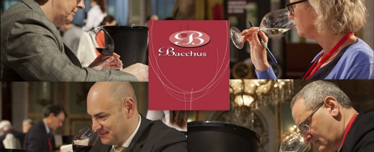 Concurso Internacional de Vinos Bacchus 2017