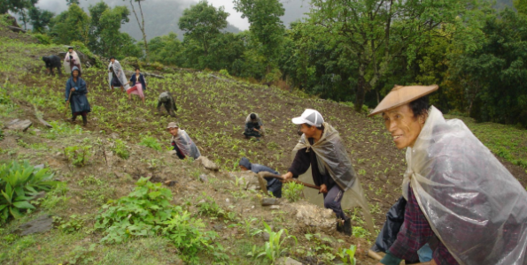 Sólo agricultura ecológica, gracias