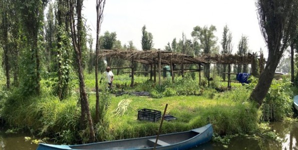 Ricard Camarena se apoya en agricultores locales para Canalla Bistro México