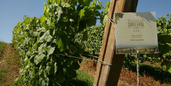Bodegas Terras Gauda lideran proyecto internacional de I+D+I