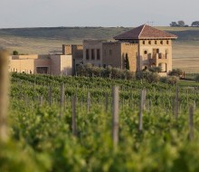 PAGOS DE ARÁIZ: Una bodega sin complejos