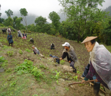Sólo agricultura ecológica, gracias