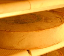 ¿Cuál es el origen del queso?