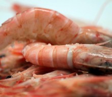 Huelva Capital Española de la Gastronomía 2017