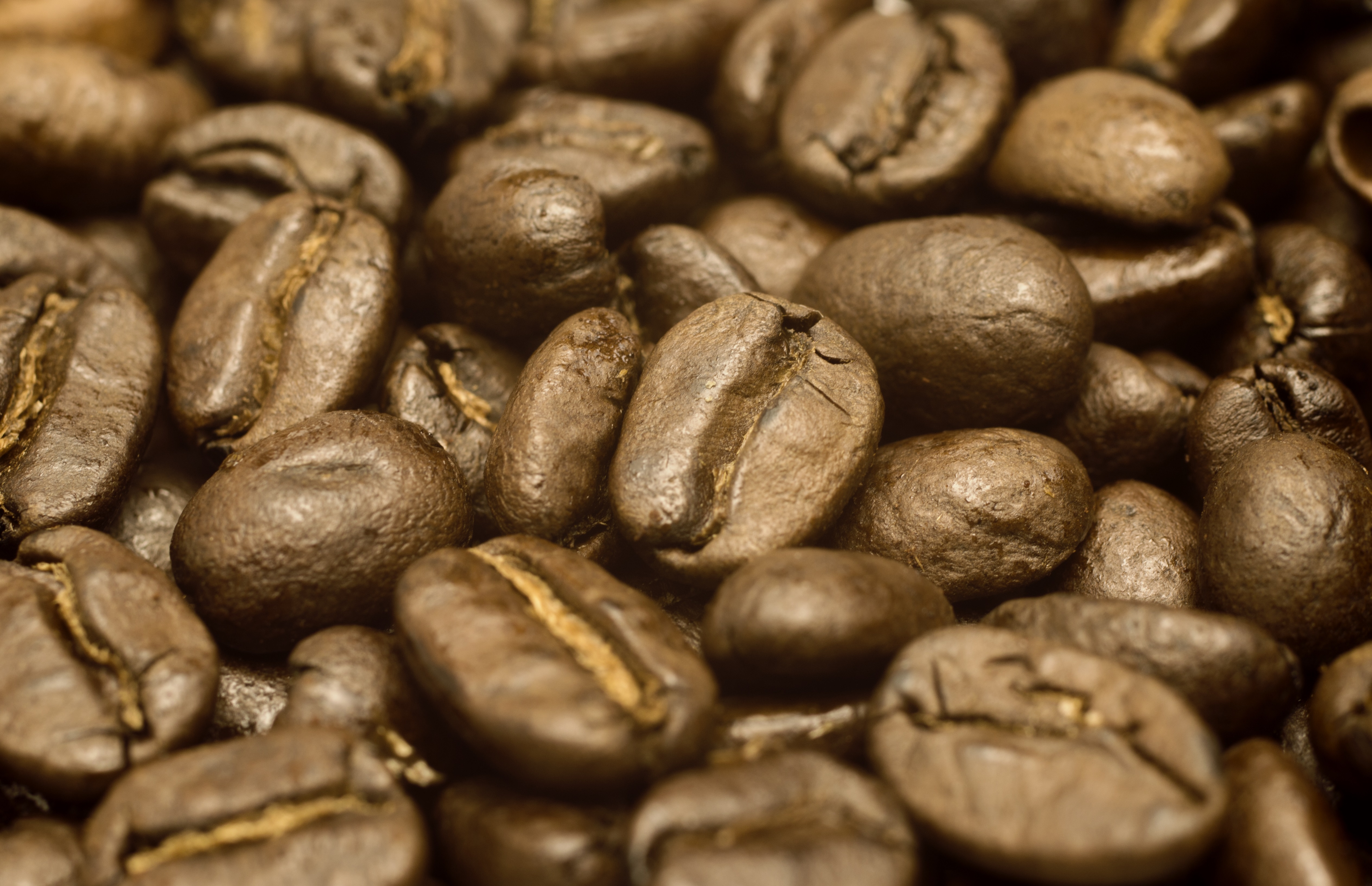Origen del cafe en españa