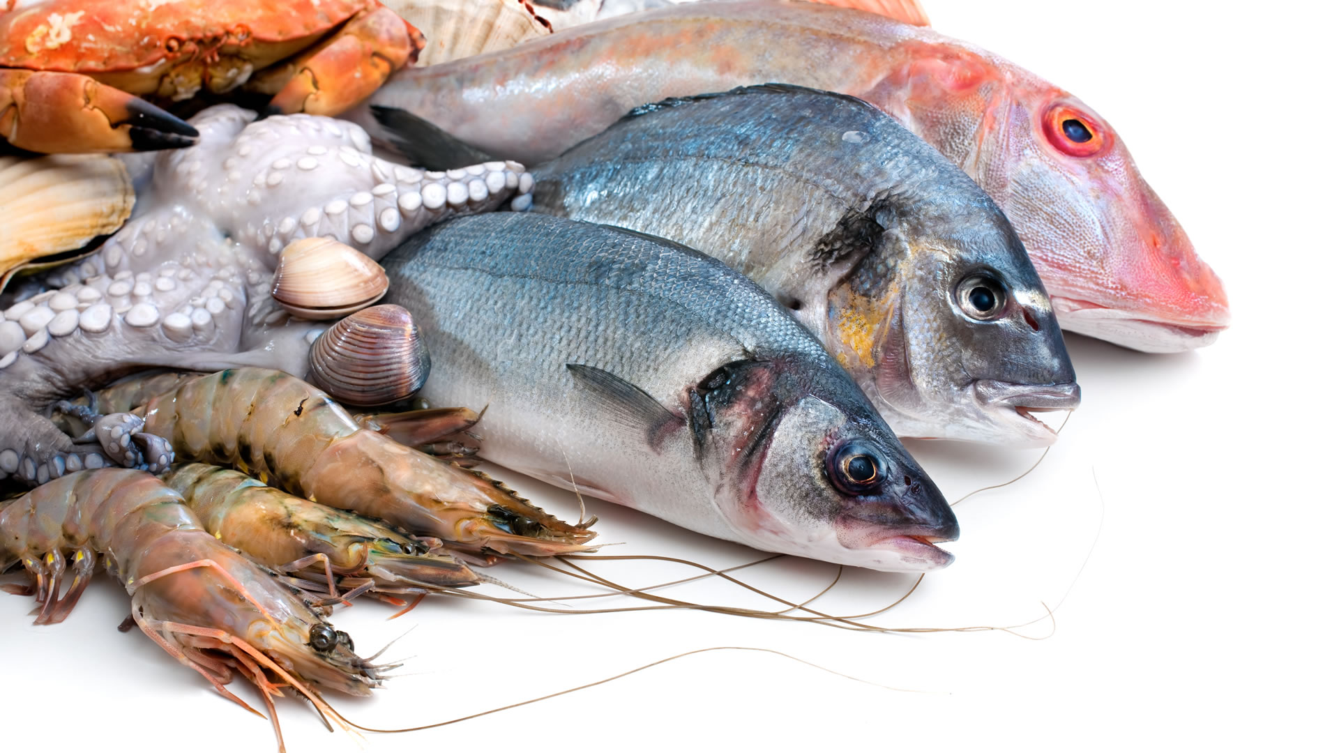 Resultado de imagen para pescado