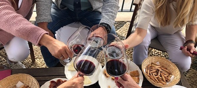 Ronda Wine Experience: un viaje sensorial por la tradición vinícola y gastronómica de Andalucía