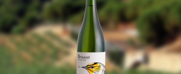 Bruant 20 Aniversario: las burbujas de una intuición