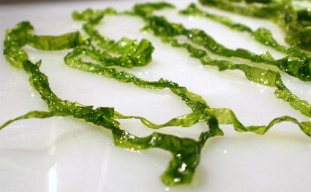 Las algas, un alimento que no debería faltar en nuestra dieta