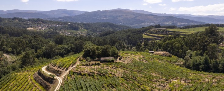 Deiva: el nuevo Albariño de Tempos Vega Sicilia