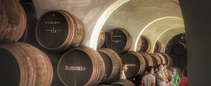Planes para disfrutar de los Vinos de Jerez en un entorno incomparable