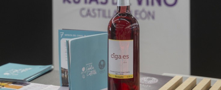 FINE 2026: Valladolid se convierte en la capital mundial del Enoturismo y estrena su alianza estratégica con el Oleoturismo