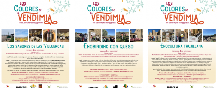 Los colores de la vendimia: Enoturismo y Gastronomía en el puente de diciembre