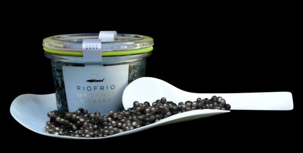 Caviar de Riofrío: ¿el mejor caviar del mundo?