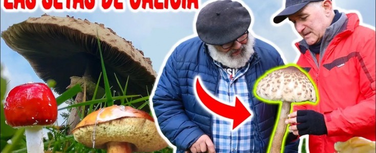 Gastronomia.comTV estrenó la serie “Raíces de Galicia con… O Fillo da Aldea”