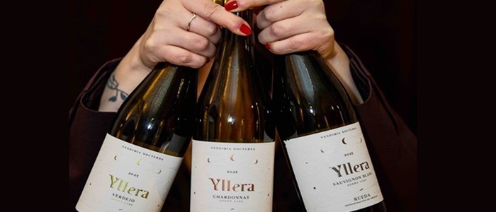 Yllera Bodegas y Viñedos revoluciona su gama "Vendimia Nocturna" con nueva imagen y el lanzamiento de un Godello inédito