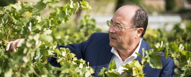 Carlos Moro: “La inteligencia artificial y la digitalización redefinen el sector del vino”