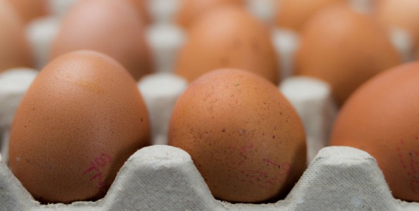 El desplome del precio del huevo