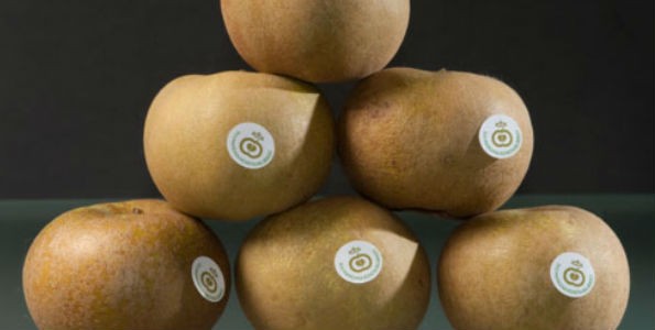 Manzana reineta: producto Denominación de Origen