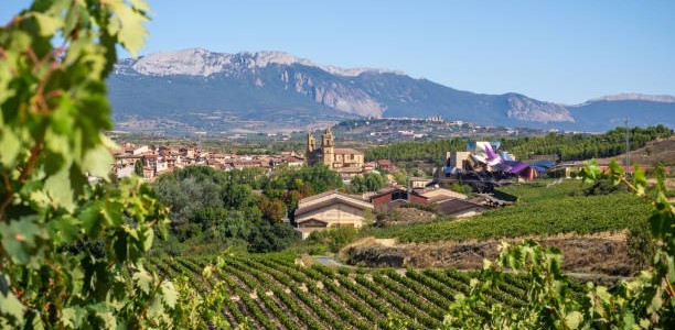 Temporada de Viticultura en la Rioja Alavesa