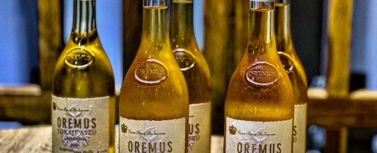 Oremus, la joya de Tempos Vega Sicilia en Hungría, es nombrado "Vino del Mes" de marzo de 2026