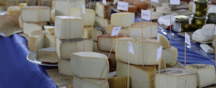 Andalucía se rinde al arte lácteo: La Feria del Queso de Andalucía celebra la excelencia artesanal este abril