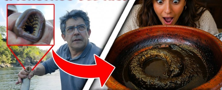 360 Millones de años en un plato: El secreto de la Lamprea del Miño se revela en Casa Calviño