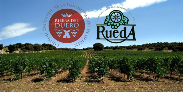 Los vinos Ribera del Duero y Rueda apuntan a EE.UU