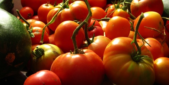 Un concurso premiará al mejor tomate Gipuzkoano