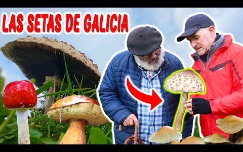 Gastronomia.comTV estrenó la serie “Raíces de Galicia con… O Fillo da Aldea”