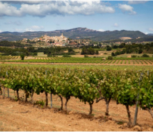 La DO Conca de Barberá triplica en doce años su producción de vinos de trepat y consolida su diferenciación como territorio vitivinícola