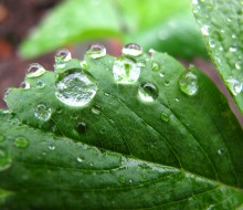 La gotella, una forma ecológica y económica de beber agua