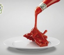 ¿Quieres un poco de ketchup?