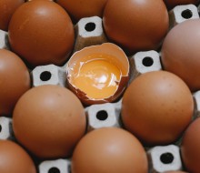 Despensa ecológica explica las diferencias entre huevos ecológicos y camperos
