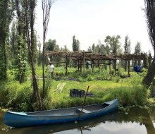 Ricard Camarena se apoya en agricultores locales para Canalla Bistro México